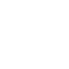 Icon : Précision & Qualité